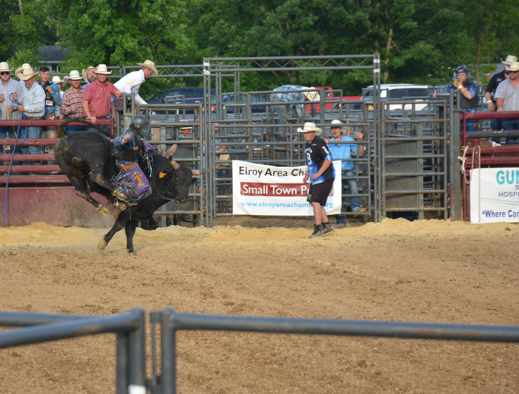 Elroy Fair 12